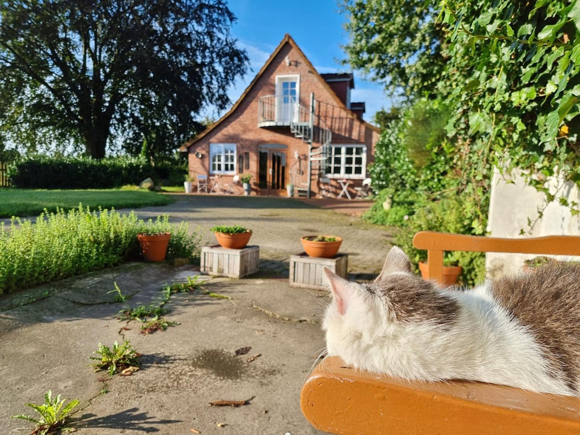 200 Jahre altes Landhaus mit Tieren Goldenstedt Exterior foto